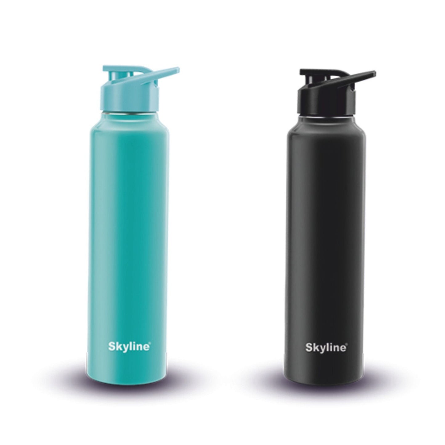 2-Pack Stainless Steel Water Bottles