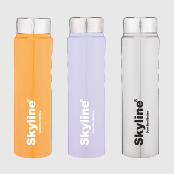 Skyline Steel Water Bottle FRIZZY
