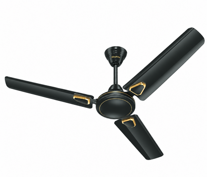 Skyglide Charcoal - Black and Gold